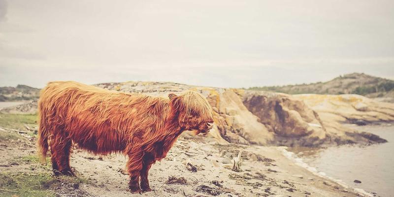 告别卡顿！揭秘Tap3Edit代理文件工作流：4K/8K高分辨率视频流畅剪辑的终极性能优化方案