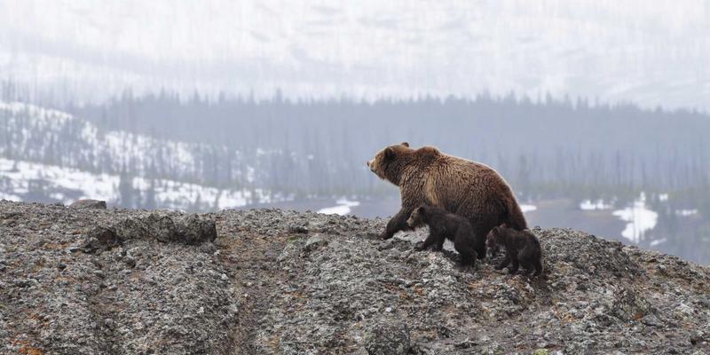 告别平庸！用Tap3Edit蒙版功能打造电影级大片：分屏、聚焦与创意遮罩全攻略