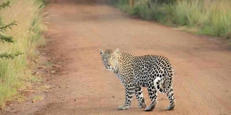 告别平庸视频！Tap3Edit内置特效与转场效果深度应用指南