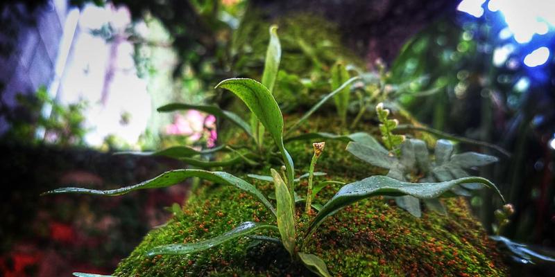 告别绿幕烦恼！Tap3Edit实战指南：从零基础抠像到电影级场景合成的完整秘籍